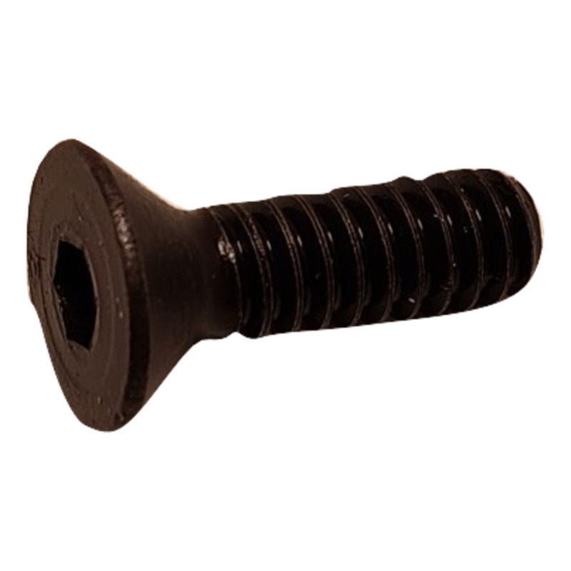 10-24x5/8 Cap. Soc. dente piatto, vite di fissaggio
