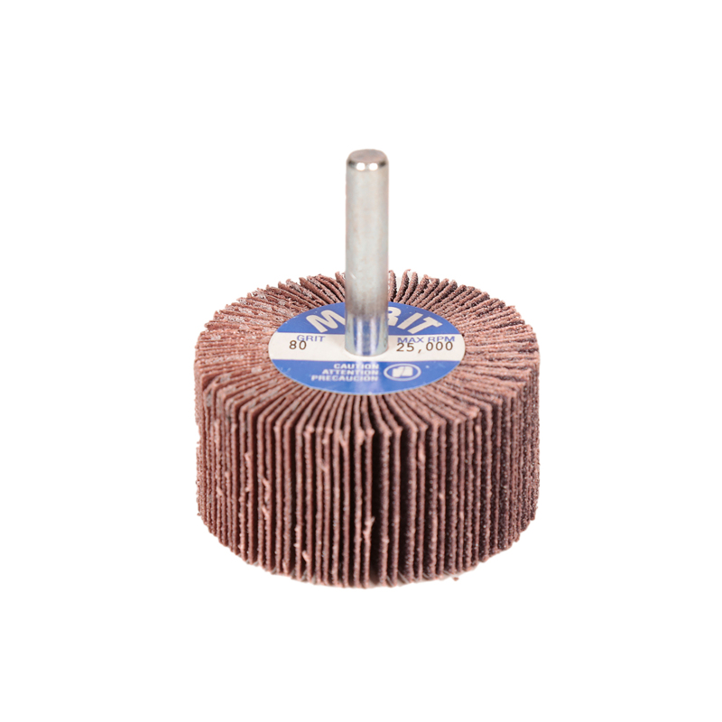 Diametro 51 mm x larghezza 25 mm x albero 6 mm Ruota lamellare DynaCut A/O grana 80